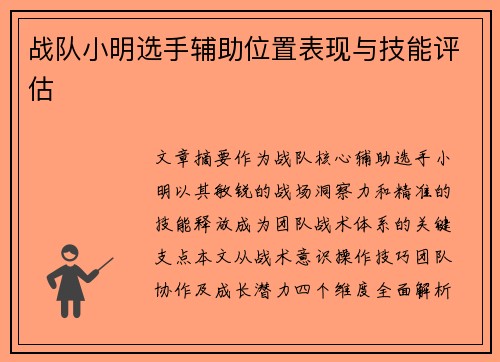 战队小明选手辅助位置表现与技能评估