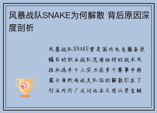 风暴战队SNAKE为何解散 背后原因深度剖析